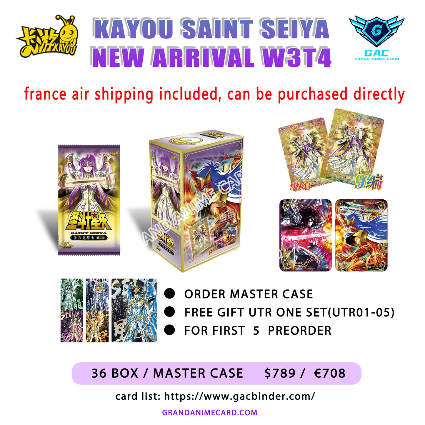 Master Case - Saint seiya