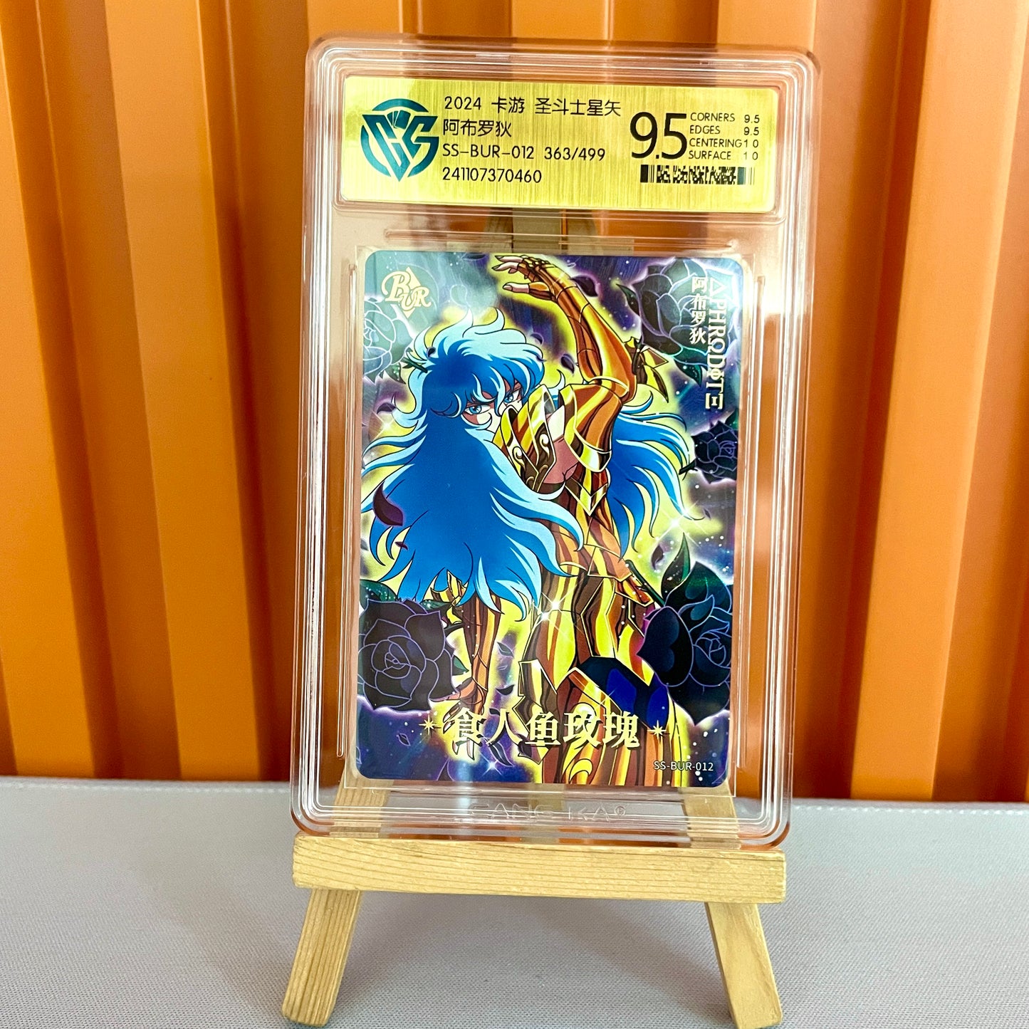 Graded - Saint Seiya 10★ CCG Rating Card&Set